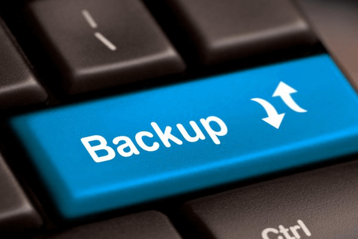 What is backup and what are its types?